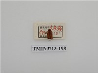 藏品(埔里胖絨毛金龜)的圖片